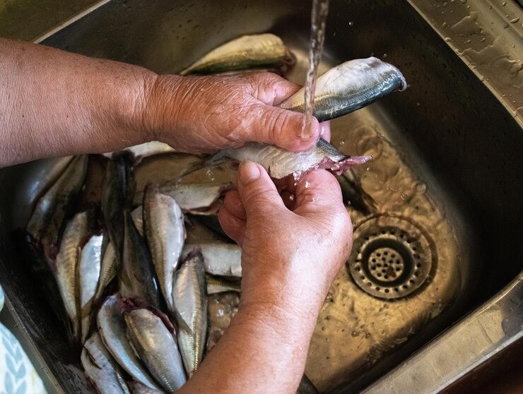 ikan protein tinggi, ikan terbaik untuk ibu hamil, jenis ikan kaya omega-3, manfaat ikan kembung, ikan sehat untuk anak, protein hewani untuk MPASI
